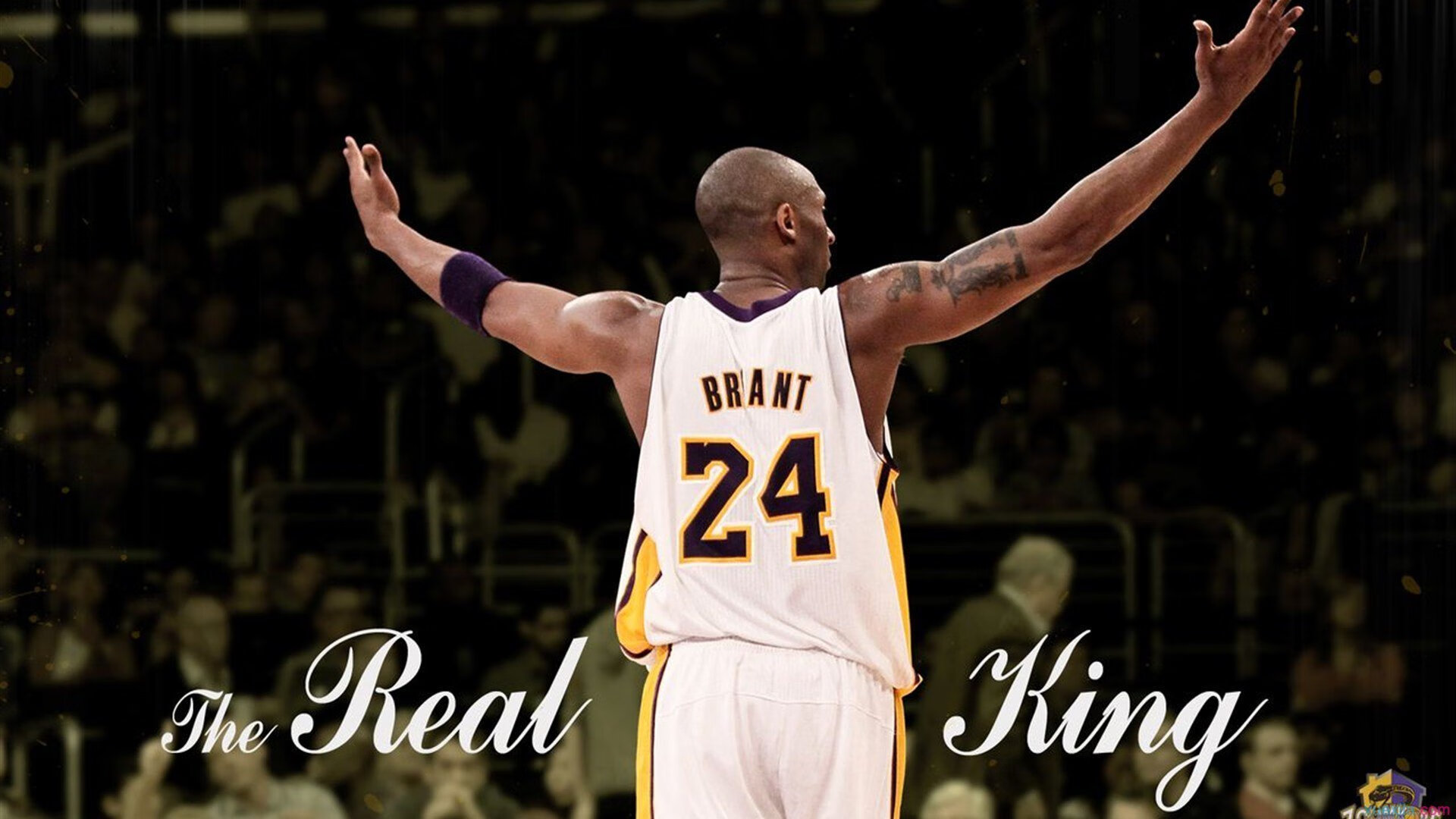 滑雪跳跃挑战极限